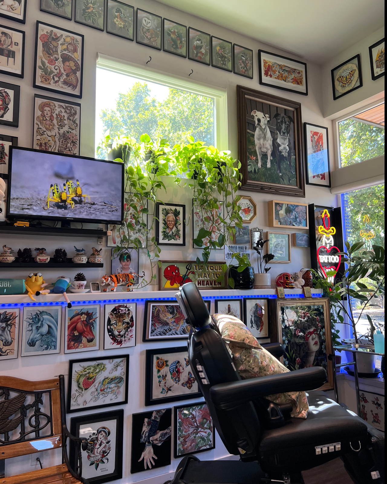 Caitlin Stairs's banner