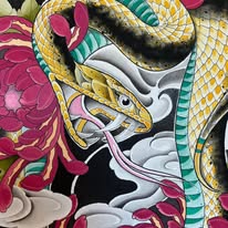 Maximiliano Guzmán 🌿