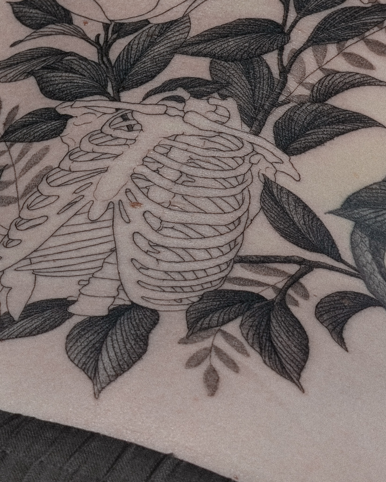 Elle Mckay | Adelaide Tattoo Artist's banner