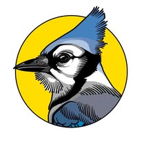 David Glantz || Toronto Tattooer