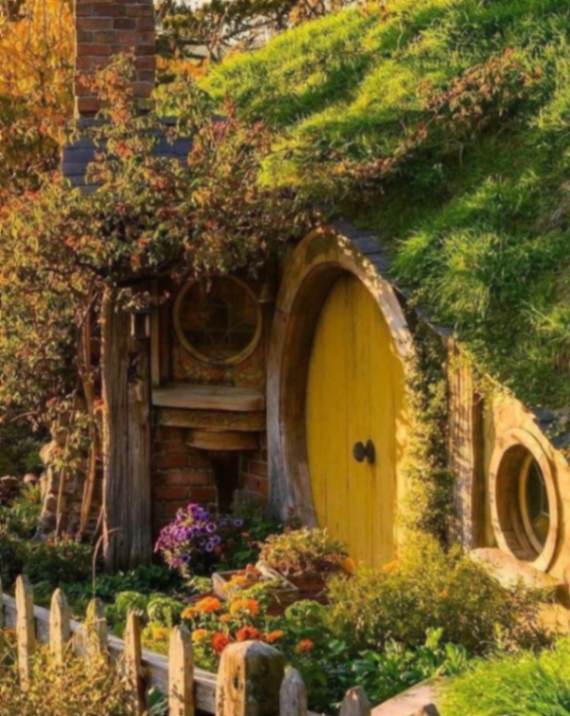 Ellen Buckley's banner