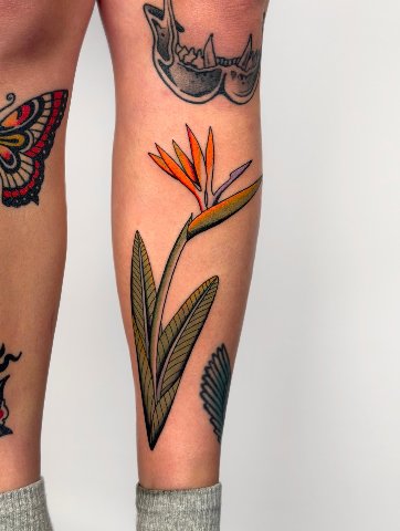 Mica · Traditional