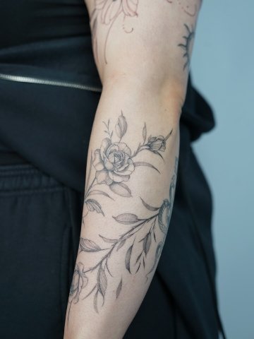 Aby · Fine-line