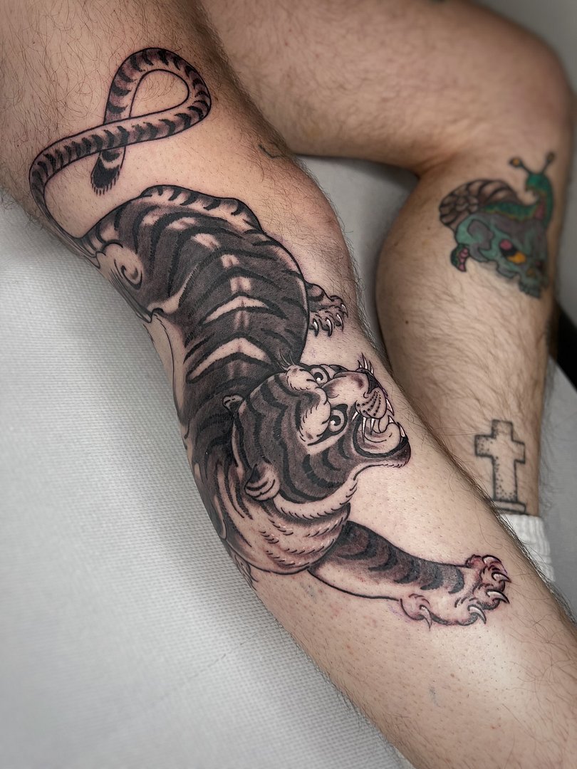 Maximiliano Guzmán 🌿's banner