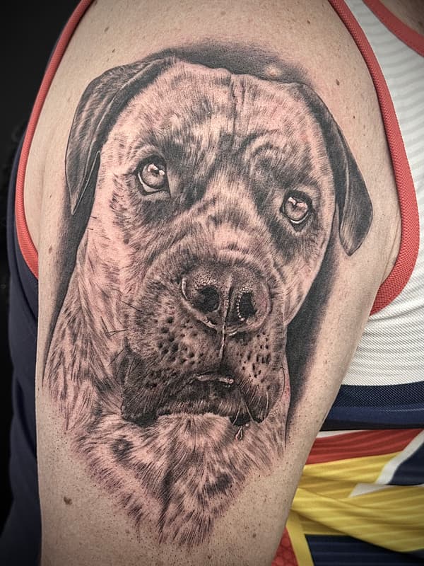 Tattoo by Ash Fletcher Tattoos in Adelaide