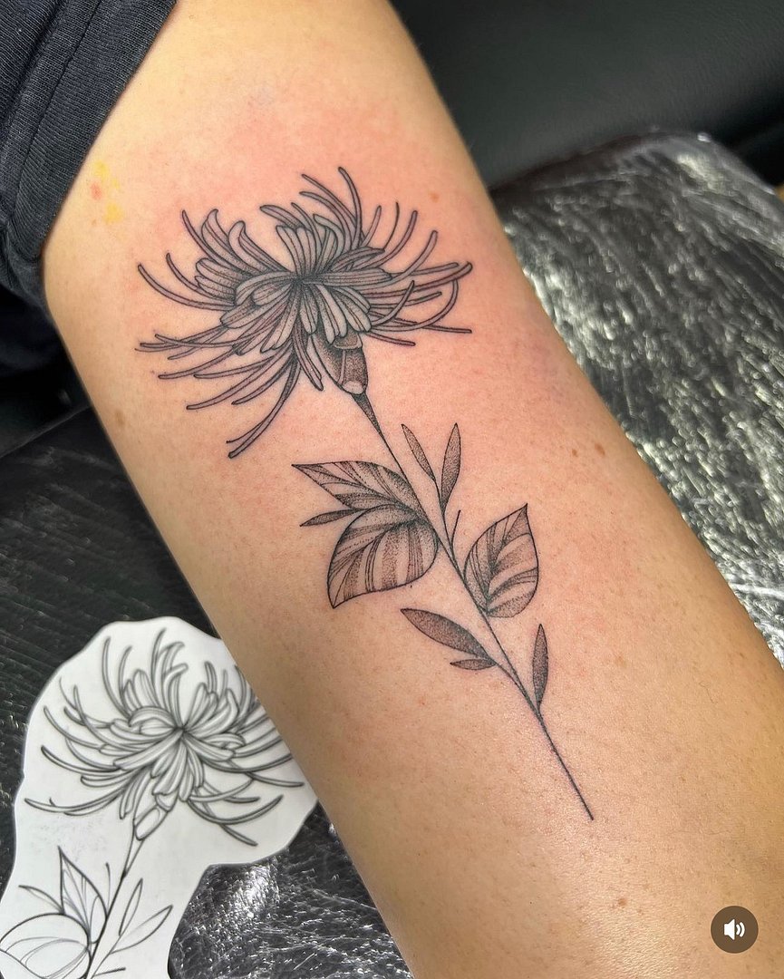 Fineline tattoo by Paul Rapley -Fineline Tattoos