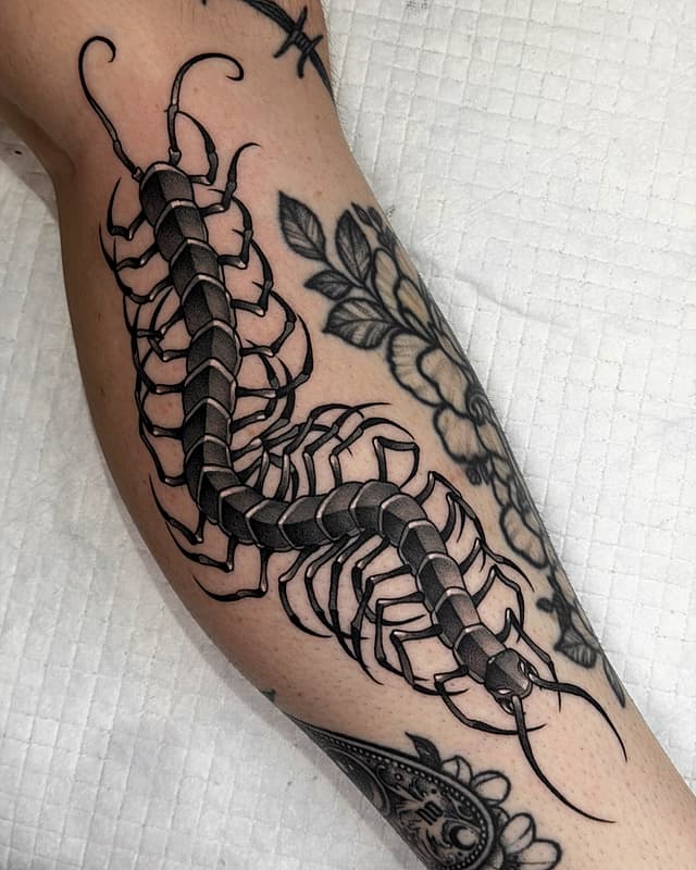 Tattoo by ⋆⁺₊⋆ amy (ghoulgrl) ⋆⁺₊⋆