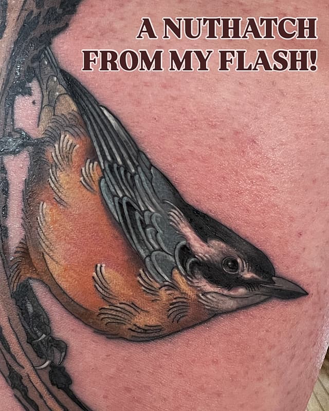Neo-Traditional tattoo by David Glantz || Toronto Tattooer
