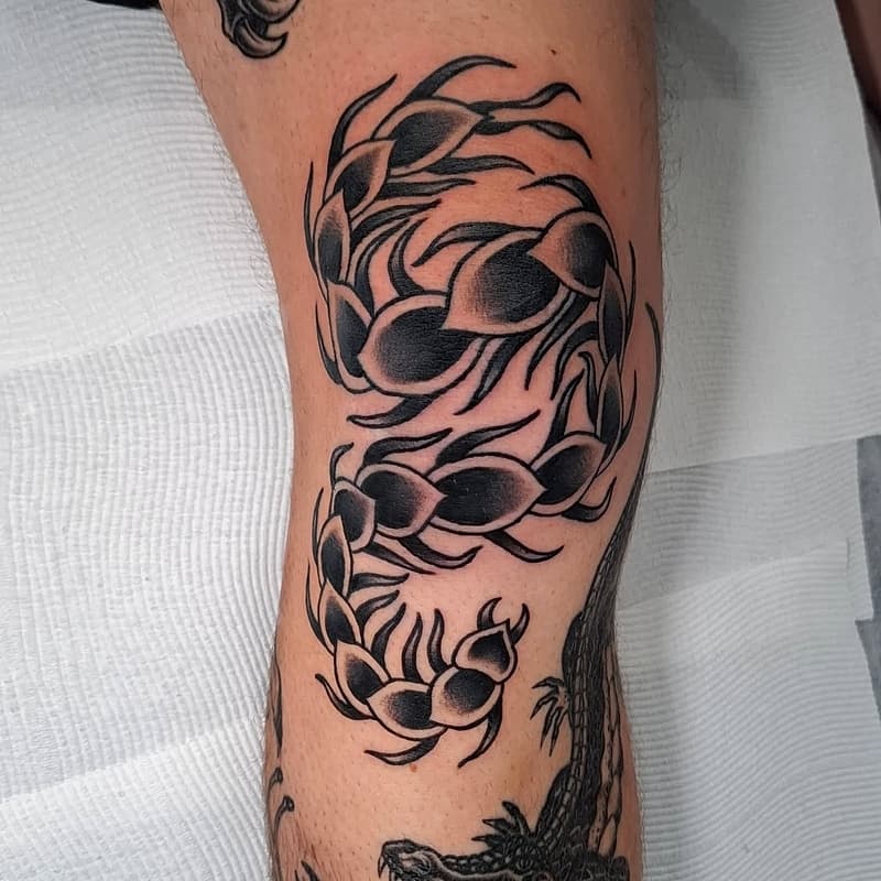 American Traditional tattoo by jakebclark