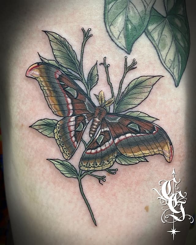 Tattoo by 𝕮𝖍𝖊𝖑𝖘𝖊𝖆 𝕲𝖗𝖆𝖈𝖊  in Melbourne