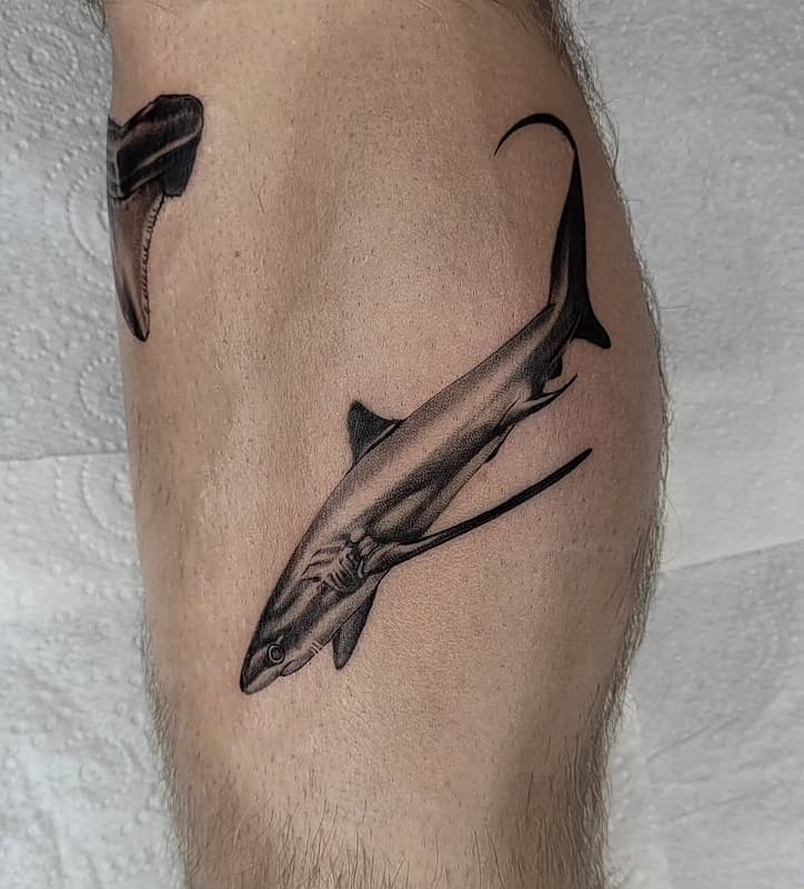 Tattoo by Sean Dwyer | Tattoo Artist in Australia