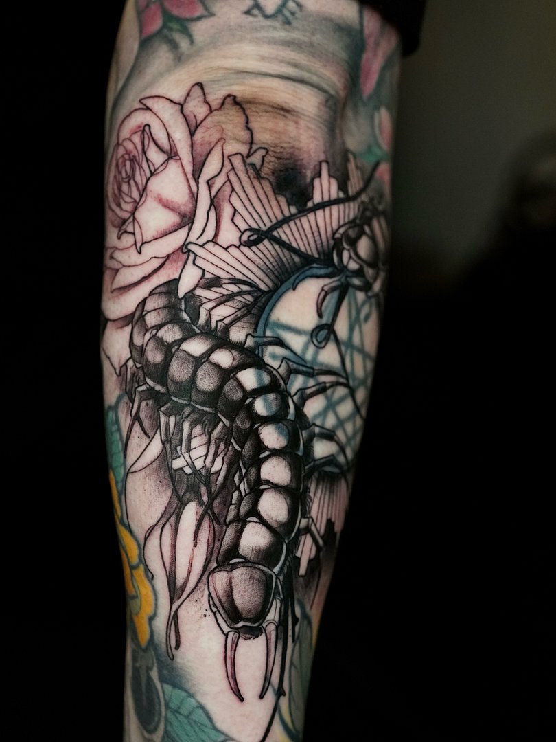 Neo-Traditional tattoo by Renkoedge