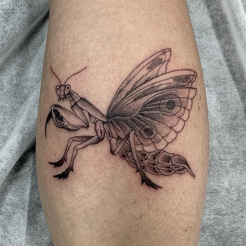 Tattoo by Ice Anstis_tattoo in Brisbane