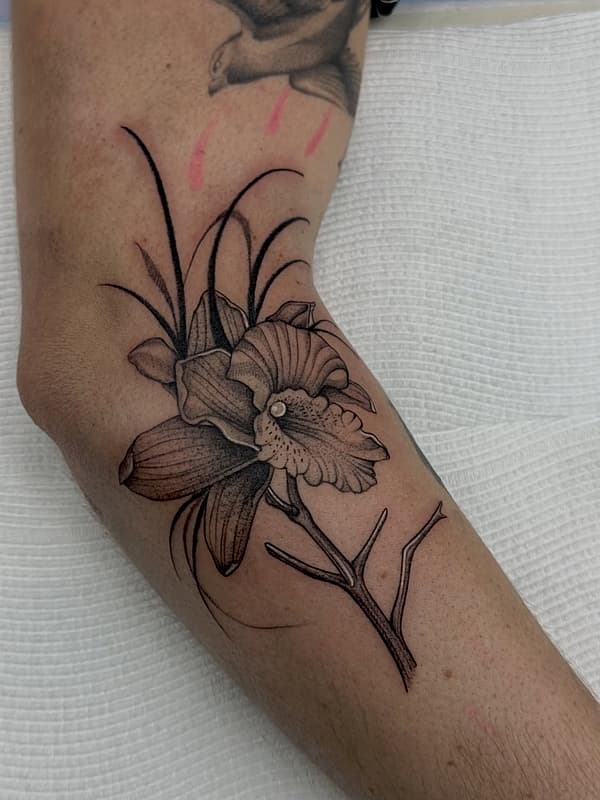 Illustrative tattoo by NICO PEDRAZA