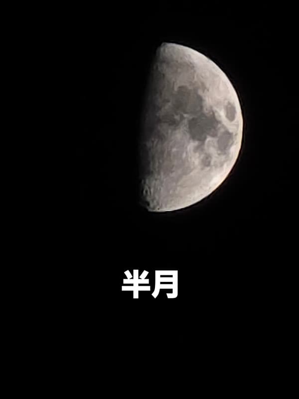 Tattoo by horiton 彫屯 in Australia