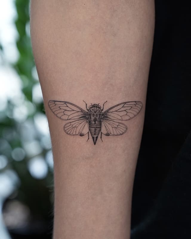 Fineline tattoo by Jane