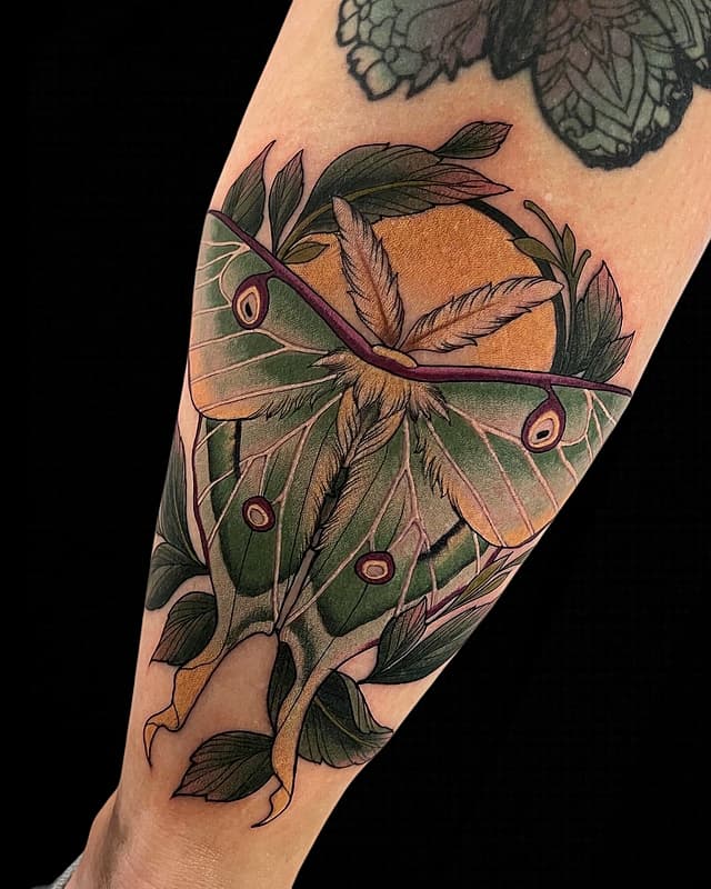 Neo-Traditional tattoo by Chris Strik | Tattoo Artist | Brisbane, Australia