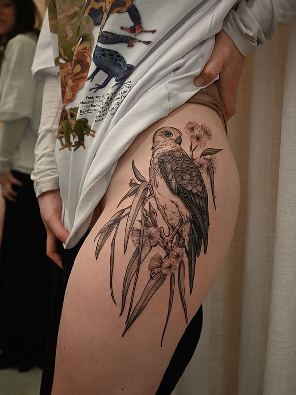 Illustrative tattoo by ⊹ T I L L Y ⊹