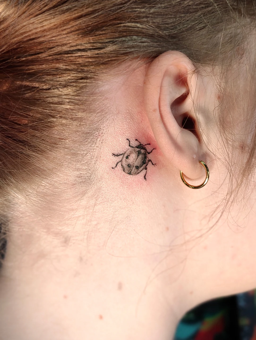 Traditional tattoo by f.t.crows