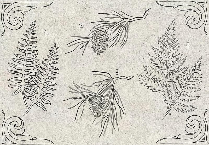 Tattoo by Booomy_tattoo in Sydney