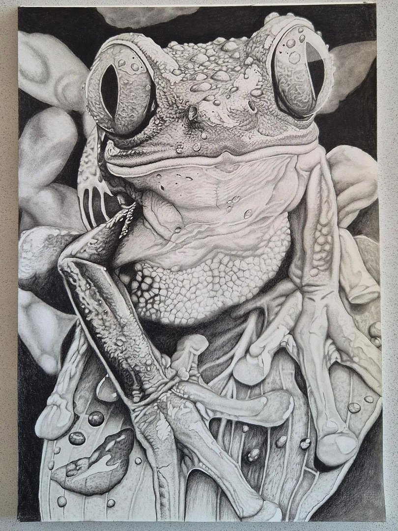 Tattoo by Harrison Strong in Sydney