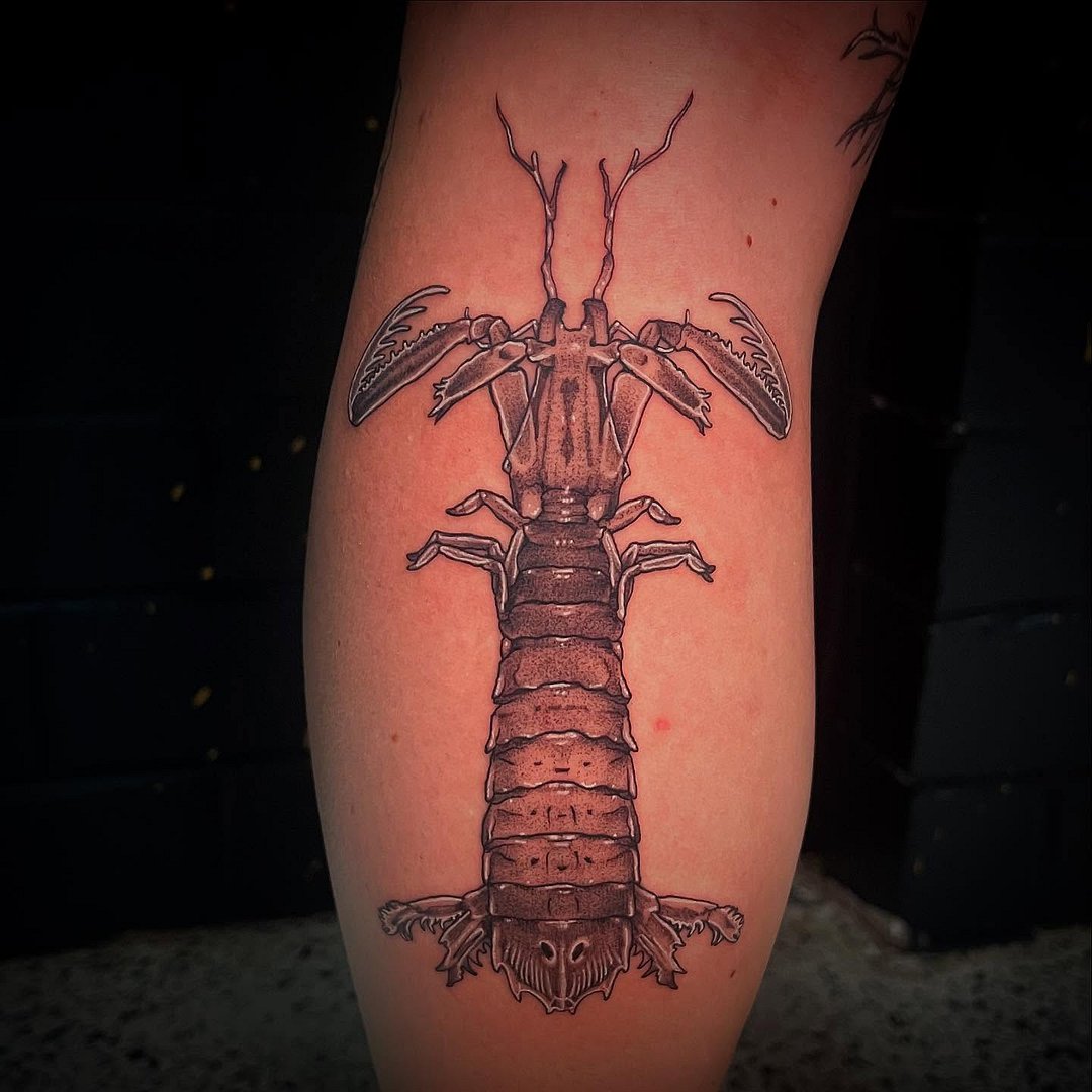 Blackwork tattoo by Clare | Perth Artist