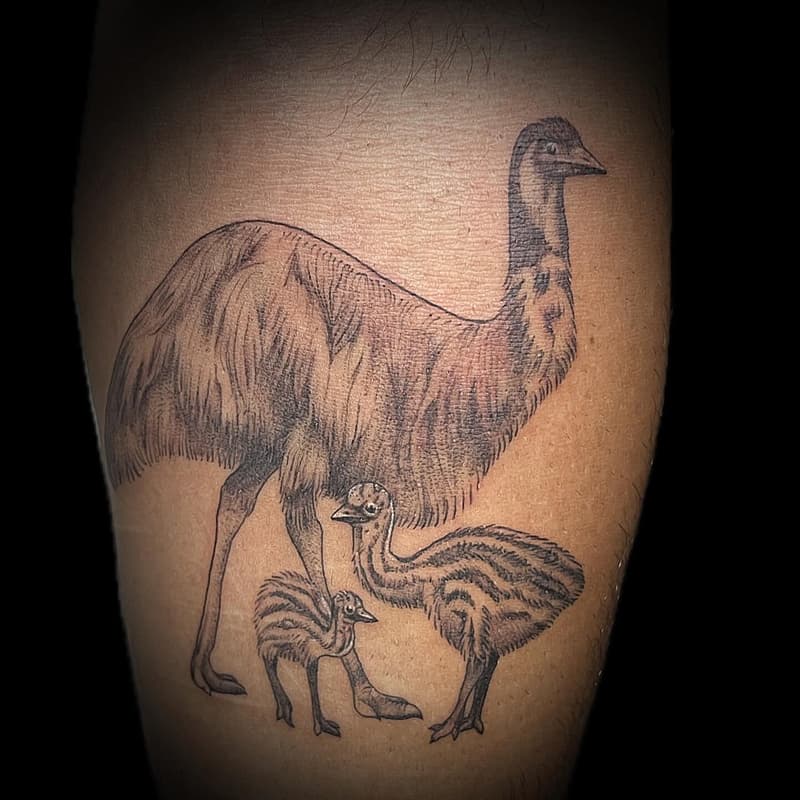 Tattoo by Clare | Perth Artist