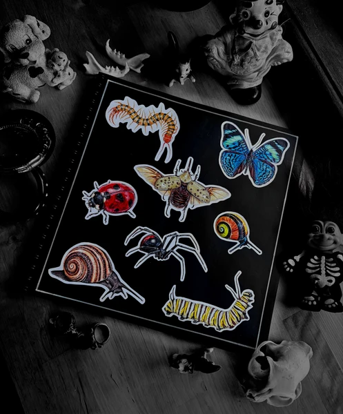 Flash design
