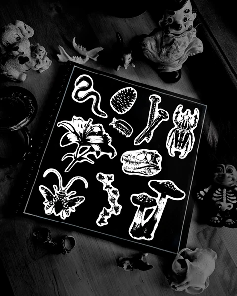 Flash design