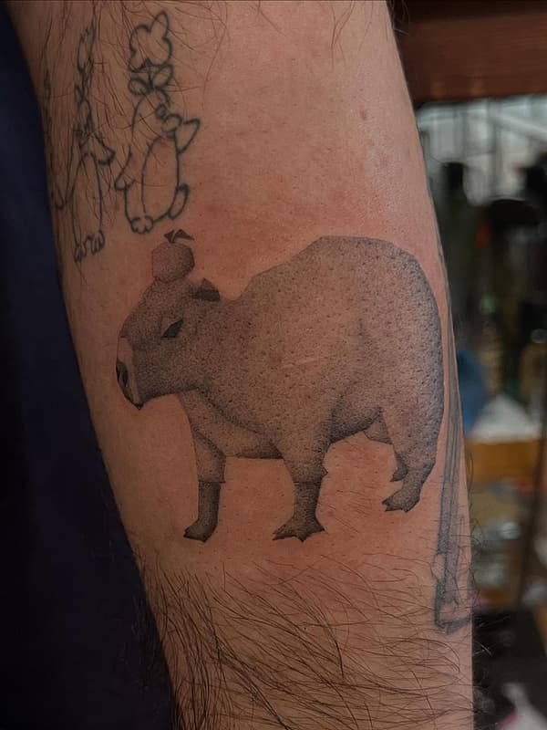 rylee 🧝🏻‍♀️'s banner