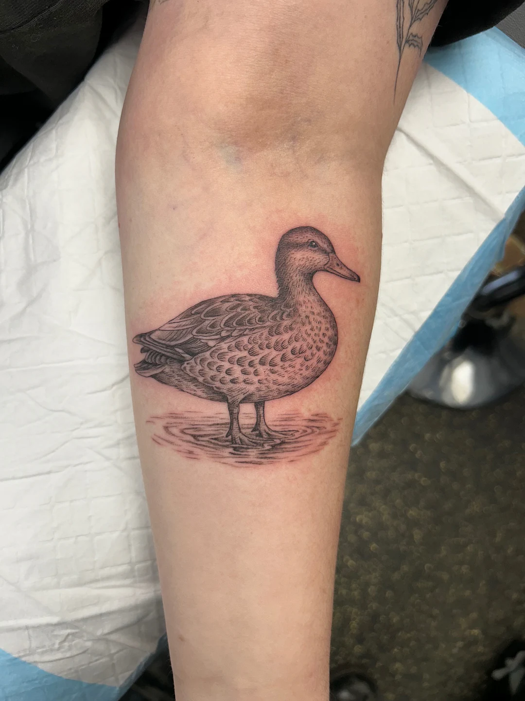 Fine Line tattoo by flicktattoo