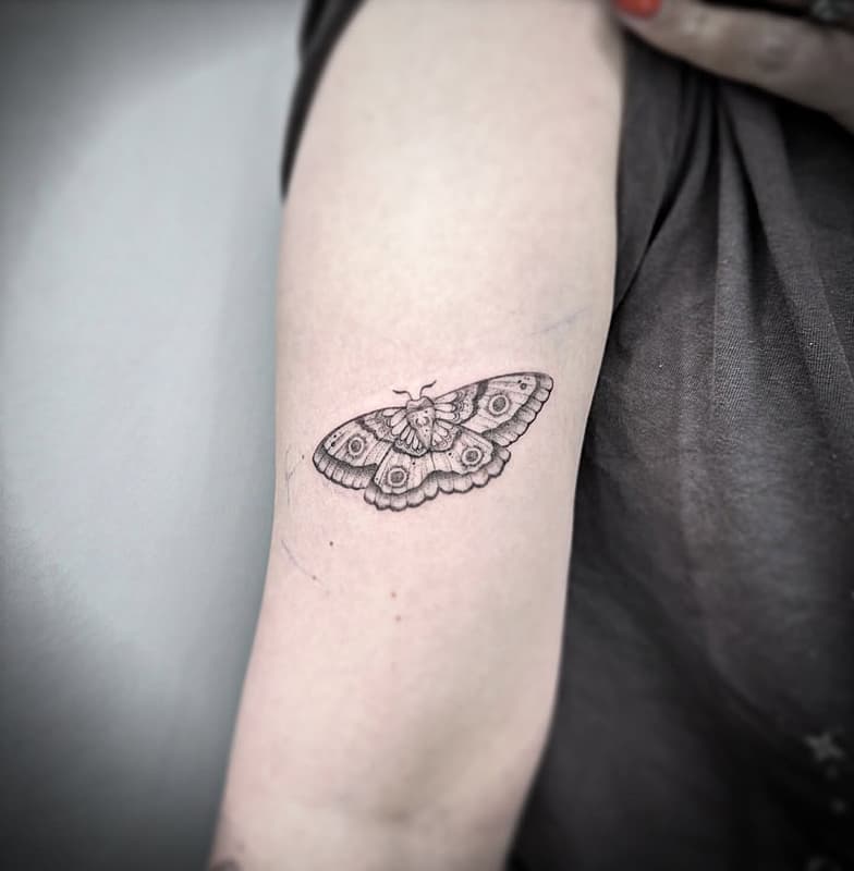 Tattoo by Kieran  🇳🇿 fineline tattoo