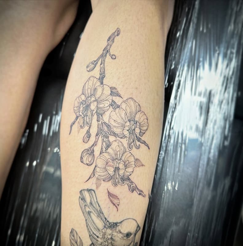Tattoo by Kieran 🇳🇿 fineline tattoo
