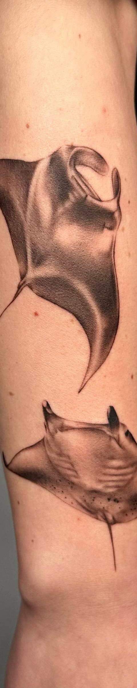 Work by Cass