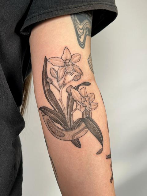Work by Aya