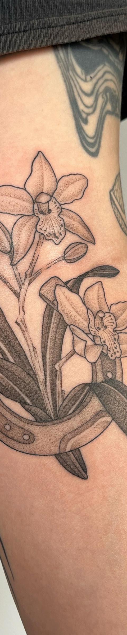 Work by Aya