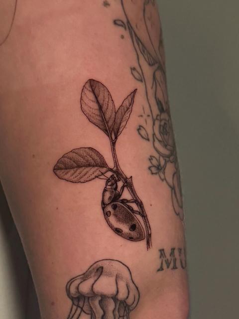 Work by Majanie
