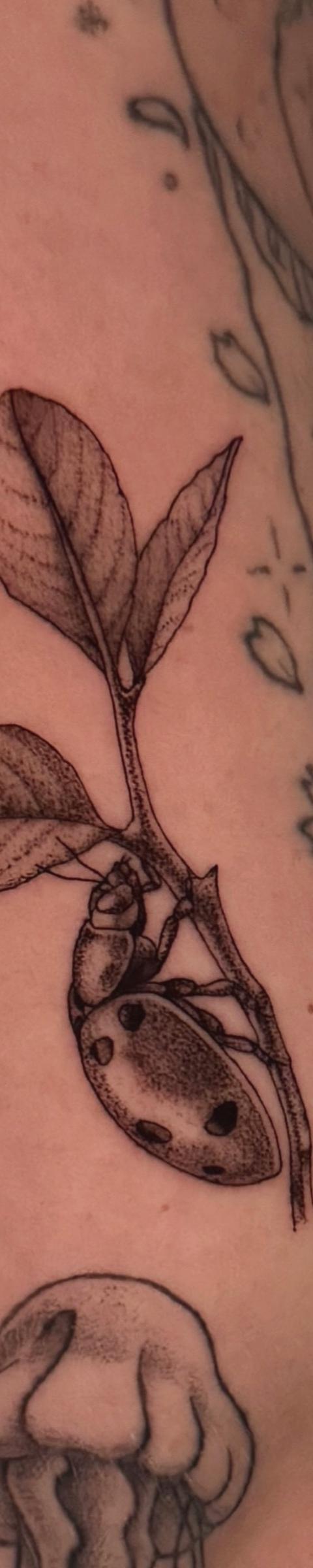 Work by Majanie